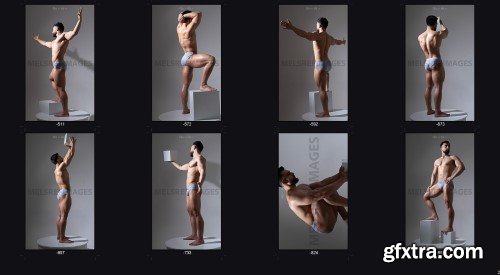 Artstation - Male Body Anatomy Poses 1670+(Bonus-Back Anatomy)