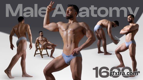 Artstation - Male Body Anatomy Poses 1670+(Bonus-Back Anatomy)