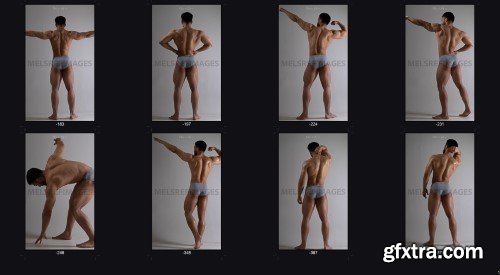 Artstation - Male Body Anatomy Poses 1670+(Bonus-Back Anatomy)