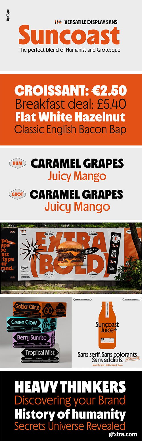 MyFonts - Suncoast Font Family 32xOTF $219 MyFonts - Suncoast Font Family 32xOTF $219