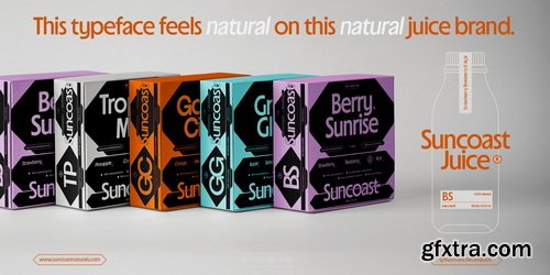 MyFonts - Suncoast Font Family 32xOTF $219