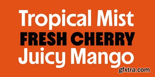 MyFonts - Suncoast Font Family 32xOTF $219