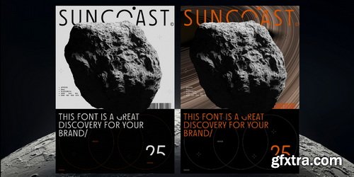 MyFonts - Suncoast Font Family 32xOTF $219