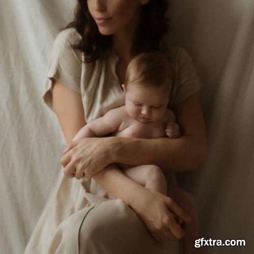 Meridian - Slate & Ivory - Decades Presets