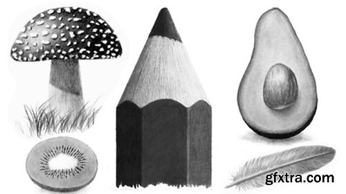 Udemy - Learn to Draw Realistic Objects with Pencil
