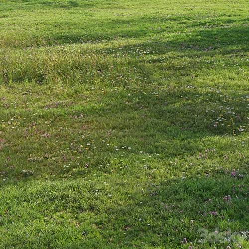 '3dsky Pro - Realistic meadow grass'
