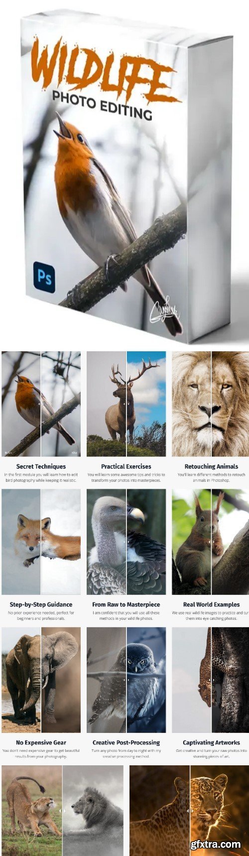 Zenja Gammer - Zenzcourses - Wildlife Photo Editing Course