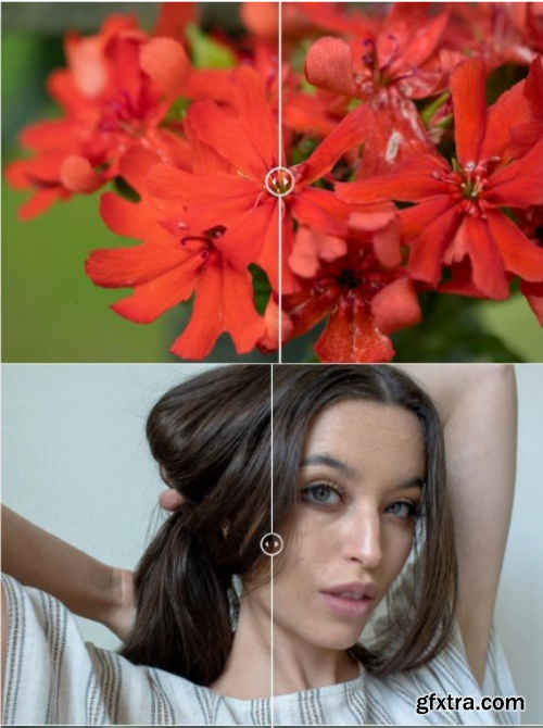 Cobalt Image - Canon EOS R5 DNG Basic