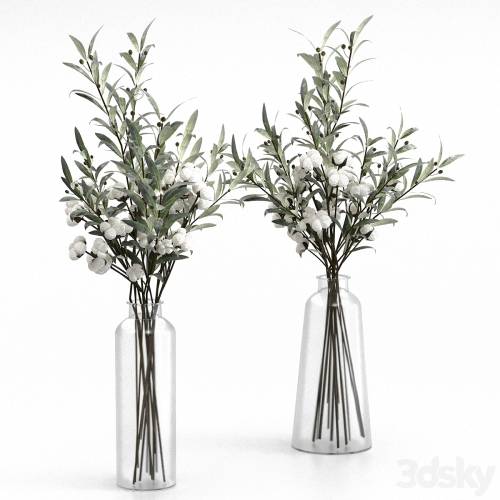 '3dsky Pro - Bouquets of olives and cotton.' '3dsky Pro - Bouquets of olives and cotton.'