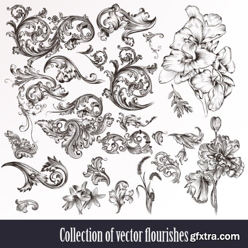 Vintage Elements #6, Calligraphic 20xEPS