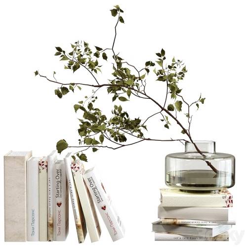 '3dsky Pro - Decorative set with books'