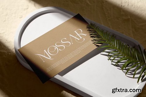 CreativeMarket - Farossa Modern Elegant Serif Font