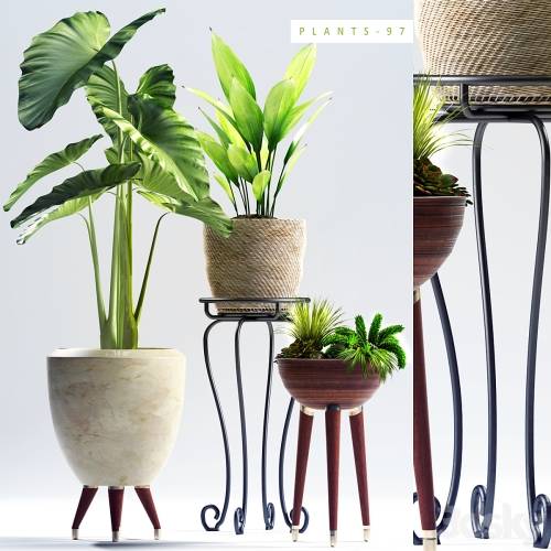 '3dsky Pro - PLANTS 97'