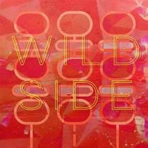 'Audiio - Wild Side (Instrumental) - Friggin Foxes' 'Audiio - Wild Side (Instrumental) - Friggin Foxes'