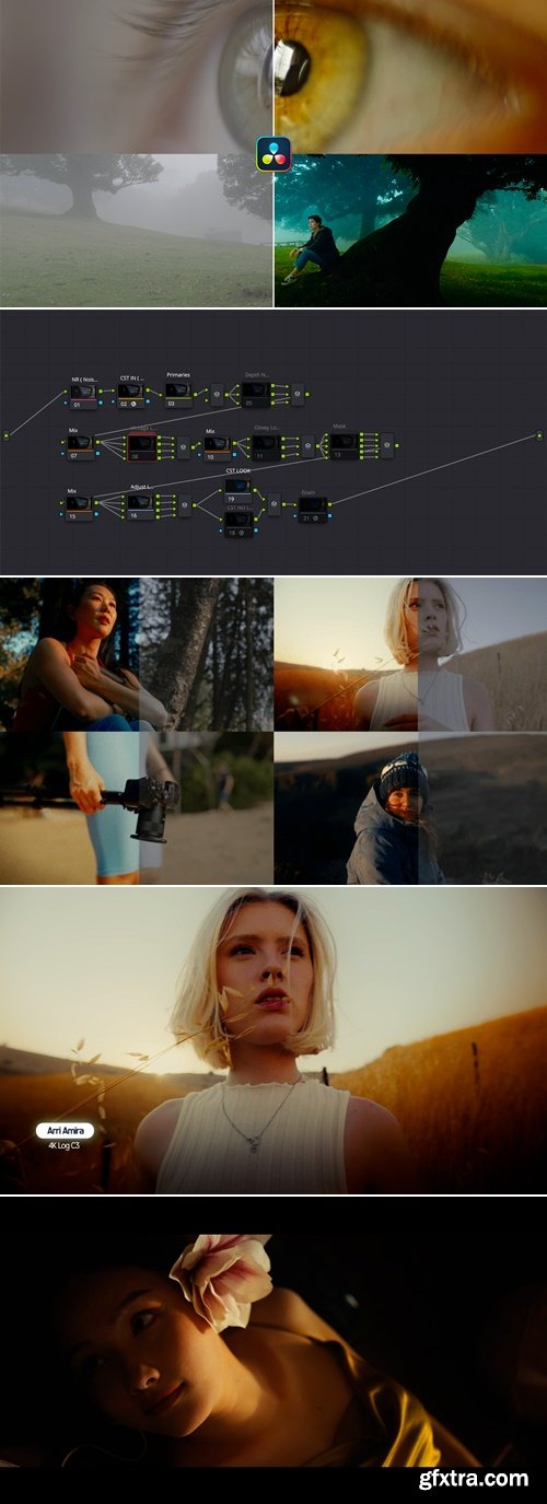 Loris Marie - Ultimate Powergrade for Davinci