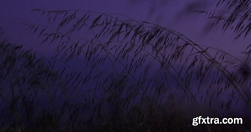 Artlist - Wind Mill - HD Collections