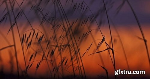 Artlist - Wind Mill - HD Collections