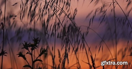 Artlist - Wind Mill - HD Collections