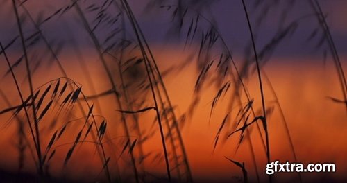 Artlist - Wind Mill - HD Collections