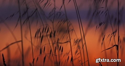 Artlist - Wind Mill - HD Collections