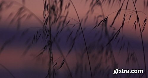 Artlist - Wind Mill - HD Collections