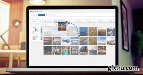 WP Media Folder v6.0.7