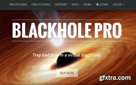 Blackhole Pro v3.5.12 - Trap Bad Bots In a Virtual Blackhole - NULLED