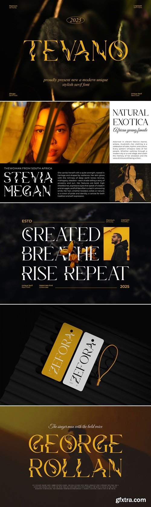 CreativeMarket - Tevano || Modern Unique Serif Font