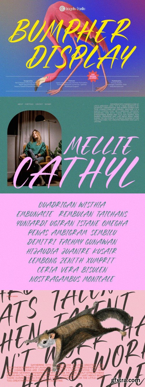 Bumpher – Handcrafted Brush Script Font