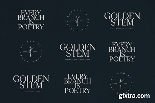 CreativeMarket - Bloryn - Elegant Serif Font