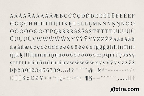 CreativeMarket - Bloryn - Elegant Serif Font