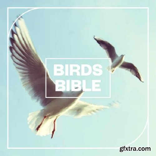 Blastwave FX Birds Bible WAV