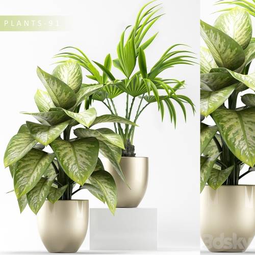 '3dsky Pro - PLANTS 91' '3dsky Pro - PLANTS 91'