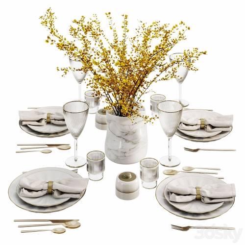 '3dsky Pro - Table setting with bouquet'