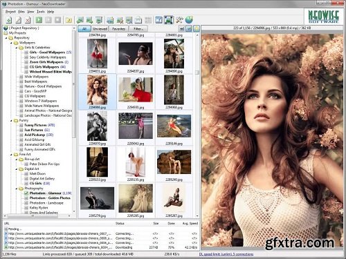 NeoDownloader 4.2.0.285