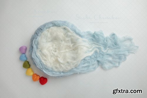 Sasha Chomakov - Newborn Digital Backdrop - Blue