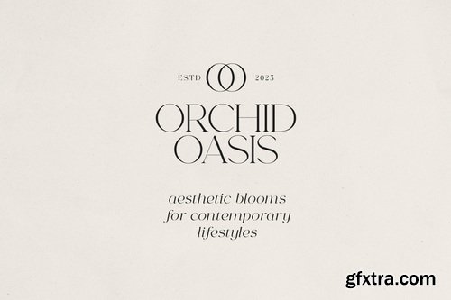 CreativeMarket - Norelli - A Modern Serif Typeface CreativeMarket - Norelli - A Modern Serif Typeface