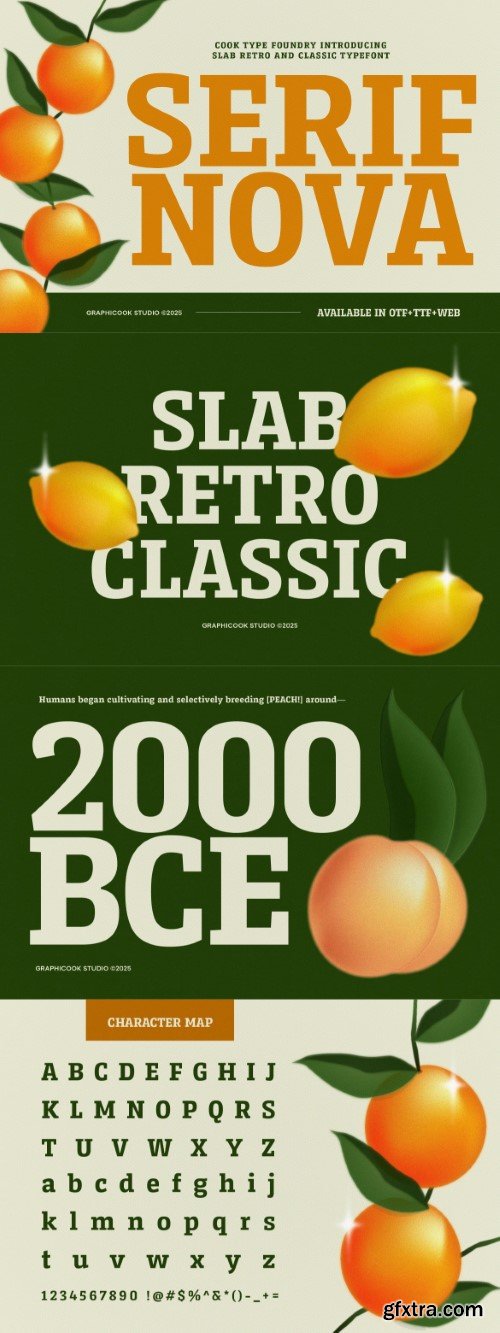 Creativemarket - Serifnova