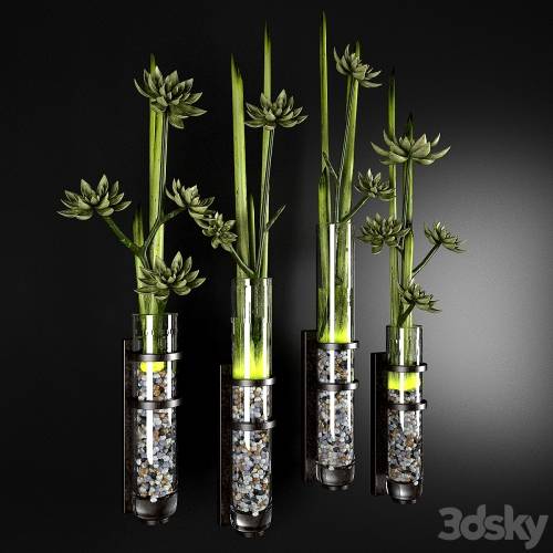 '3dsky Pro - DECO PLANTS' '3dsky Pro - DECO PLANTS'