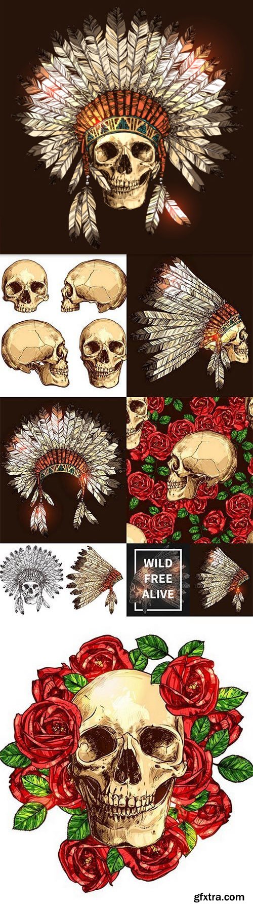 Fotolia - Indian Tribal Headdress With Skull 10xEPS