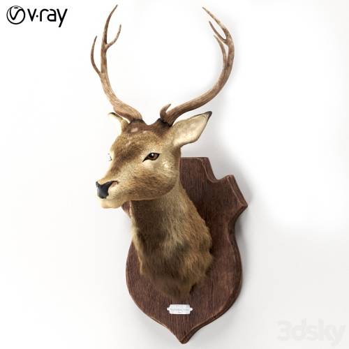 '3dsky Pro - Deer' '3dsky Pro - Deer'