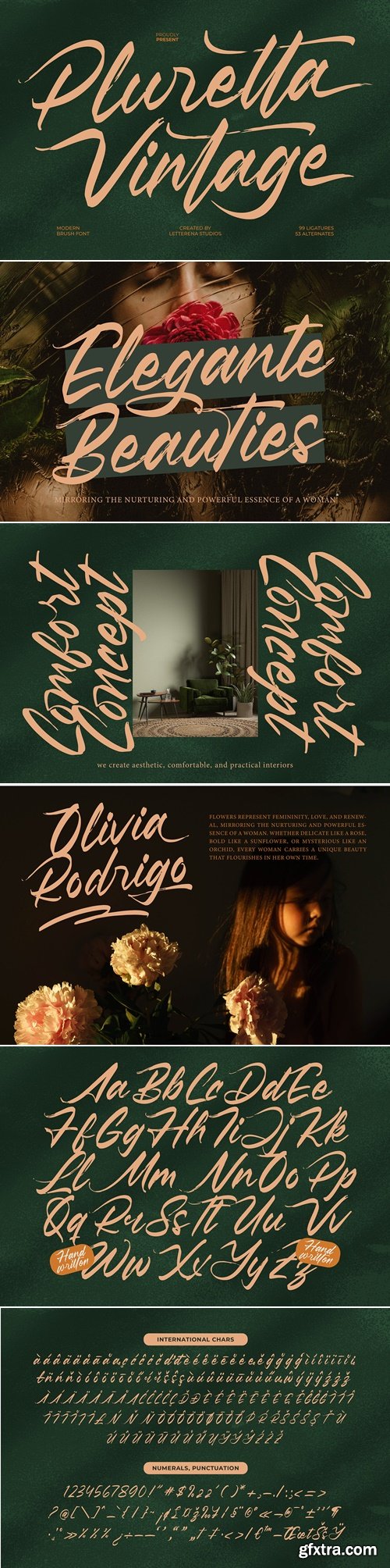 CreativeMarket - Pluretta Vintage Modern Brush Font