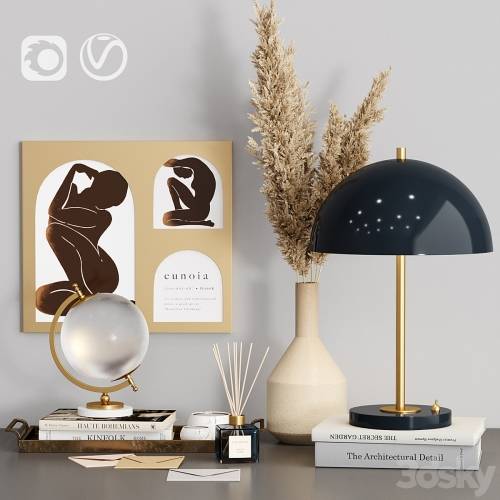 '3dsky Pro - Decorative Set Zara Home with Dry Plants'