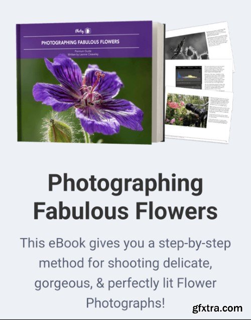Photzy - Fabulous Flower Photography Guide