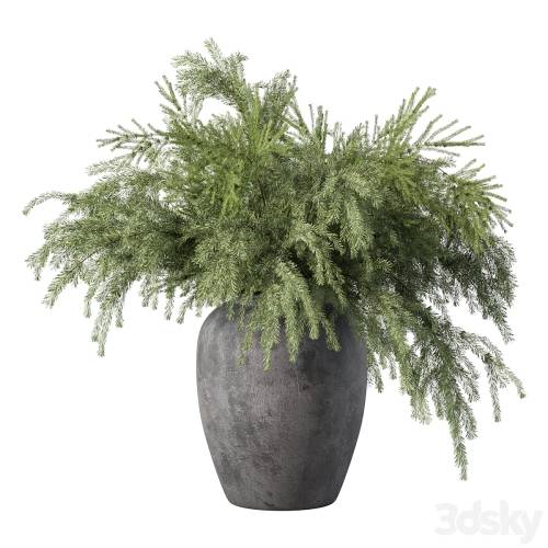 '3dsky Pro - Bouquet Pine Branches Set.27' '3dsky Pro - Bouquet Pine Branches Set.27'