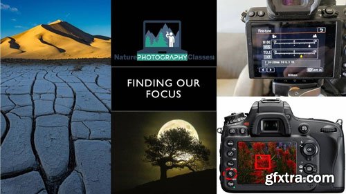 Naturephotocollective - Finding your Focus