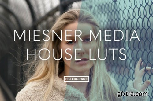 Filtergrade - Meisner Media House Luts