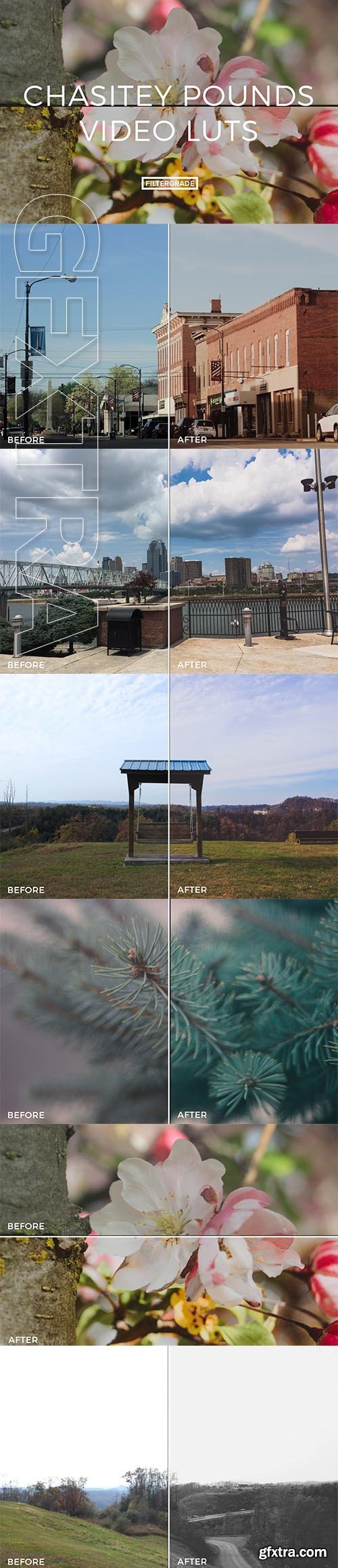 Filtergrade - Chasitey Pounds Video LUTs