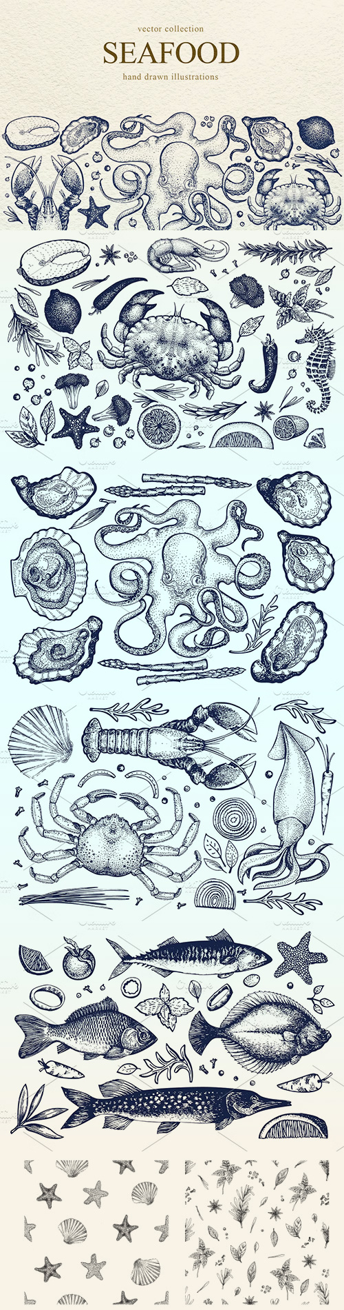 Vector Seafood Collection 1248667