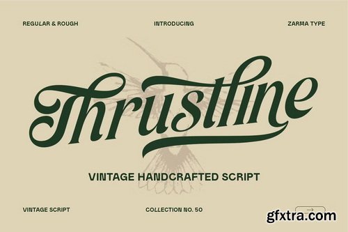 CreativeMarket - Thrustline - Vintage Script Font